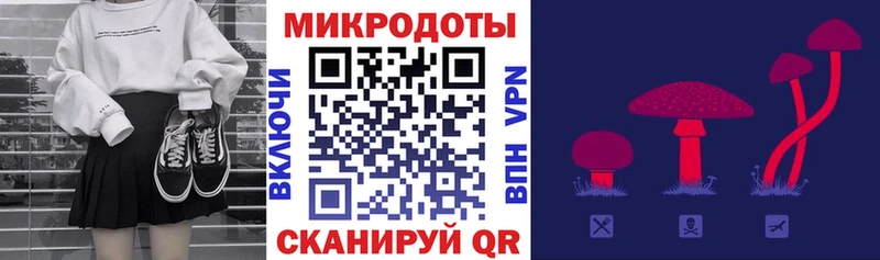 Купить закладки  Дзержинский  Галлюциногенные грибы Cubensis 